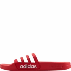 Adilette Shower Slides Vivid Red / Cloud White / Vivid Red