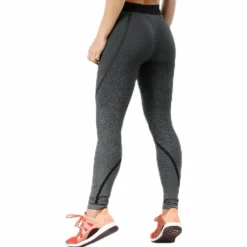 Alphaskin 360 Long Tights Grey
