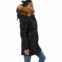 Arctica Green