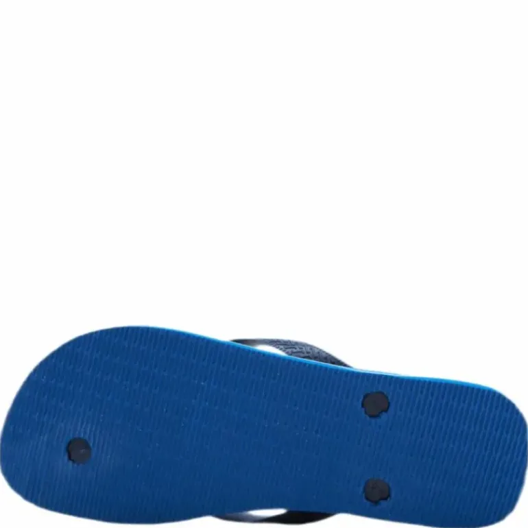 Brasil Fresh Blue/Green