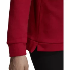 Celebrate The 90S Hoodie Red