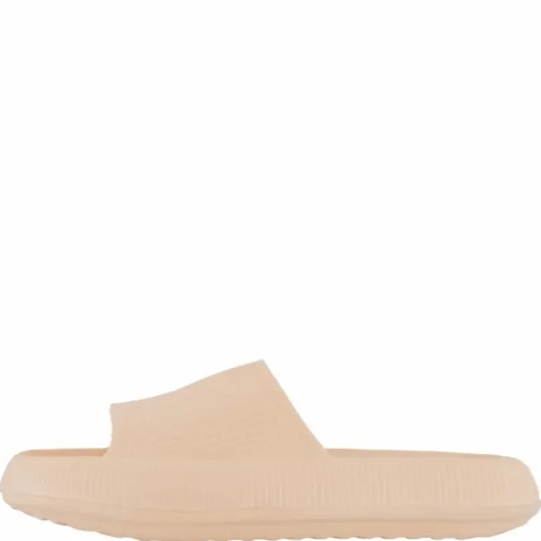 Chunky Slipper Coral