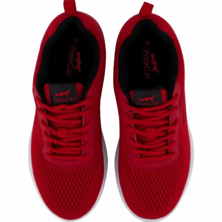 Credo Iowa Red