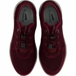 Credo Toronto Gtx Bordo