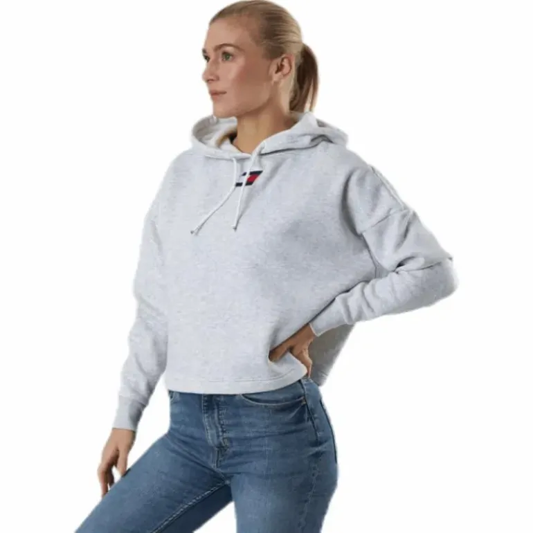 Cropped Hoody Flag Logo Grey