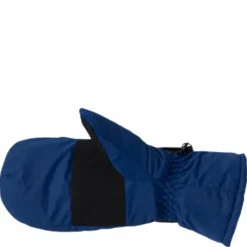 Dundret Mittens Blue