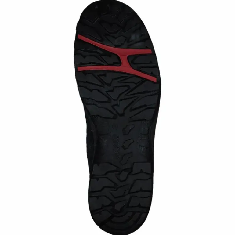 Ecco Xpedition Iii W Black/black