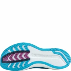 Endorphin Pro 2 Royal/white