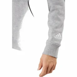 Essentials Linear Hoodie Medium Grey Heather
