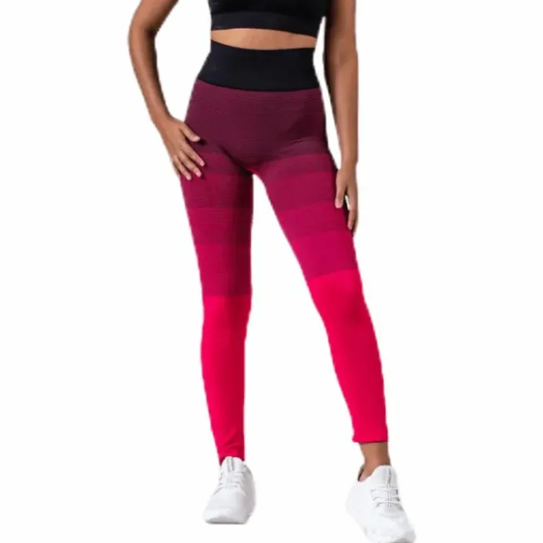 Gradient Seamless Tights Pink