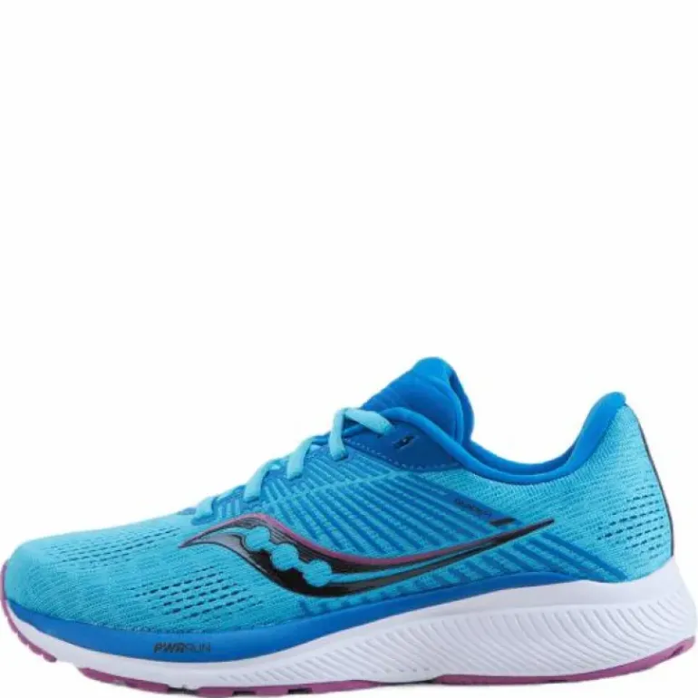 Guide 14 Blue Blaze/berry