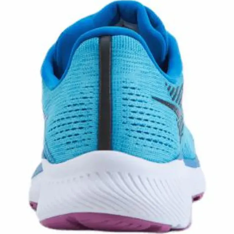 Guide 14 Blue Blaze/berry