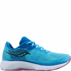 Guide 14 Blue Blaze/berry
