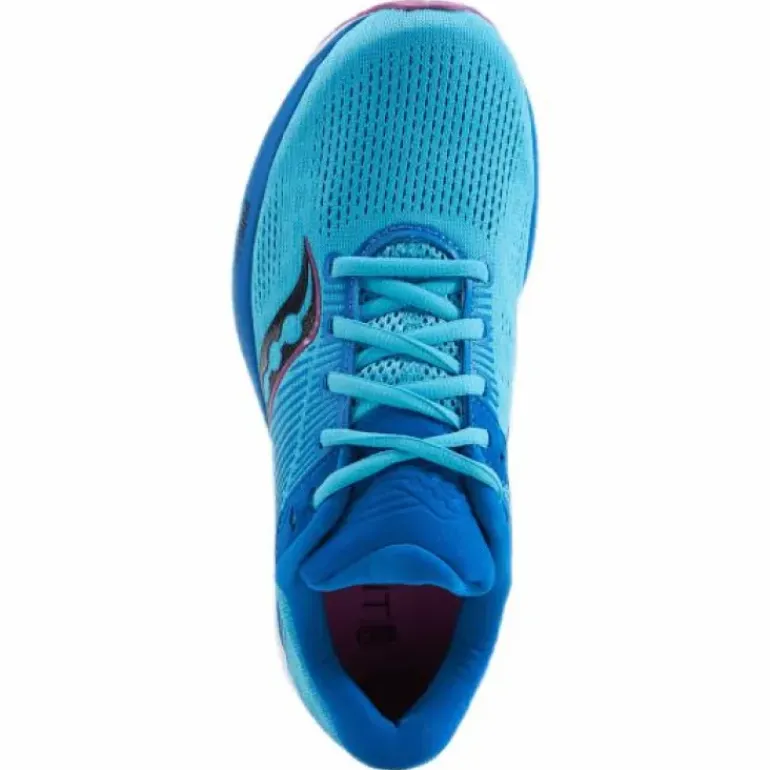 Guide 14 Blue Blaze/berry