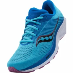 Guide 14 Blue Blaze/berry