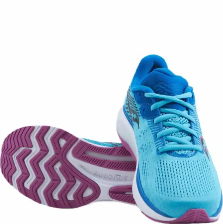 Guide 14 Blue Blaze/berry
