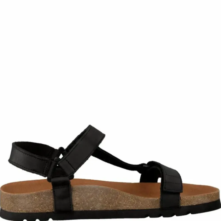Heaven AD Black