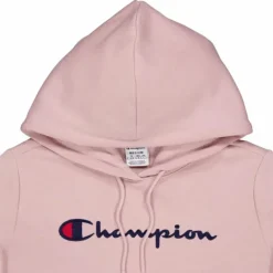 Hooded Sweatshirt Pale Hauve