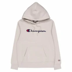 Hooded Sweatshirt Silver Lining