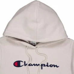 Hooded Sweatshirt Silver Lining