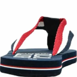 Jamison Flip Flops Blue