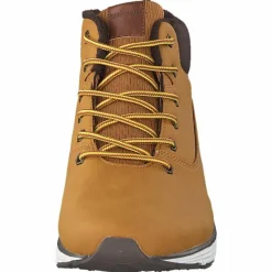 Kodiak Dark Yellow/dark Brown