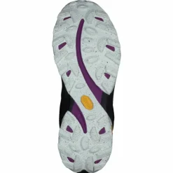 Moab Speed Gtx Black