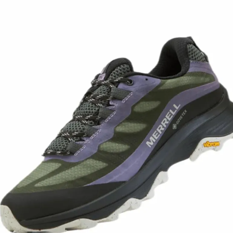Moab Speed GTX Purple/Green