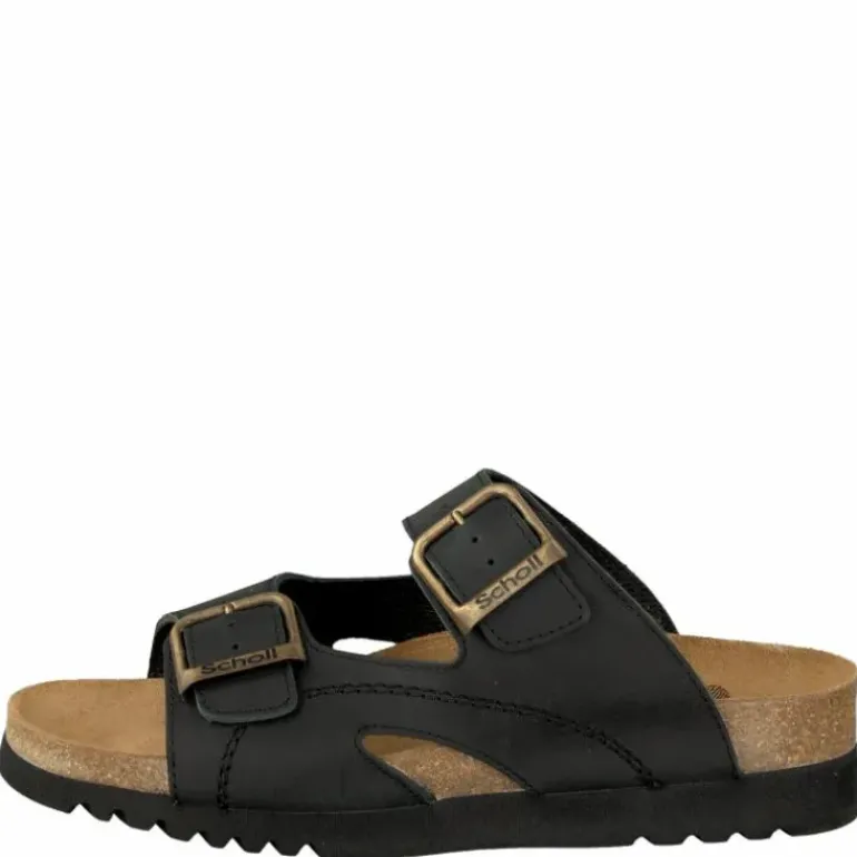 Moldava WG Ad Oiled