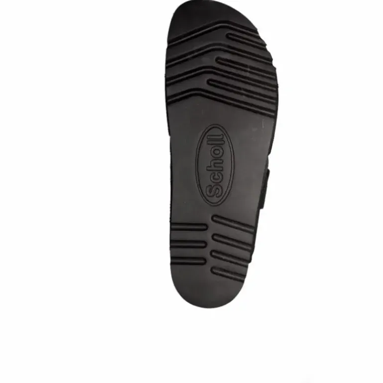 Moldava WG Ad Oiled