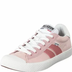 Pallaphoenix Flame Peach Whip