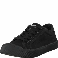 Pallaphoenix Og Cvs Black