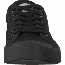 Pallaphoenix Og Cvs Black