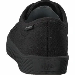 Pallaphoenix Og Cvs Black
