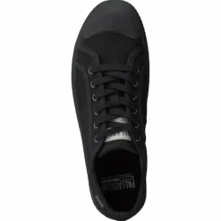 Pallaphoenix Og Cvs Black