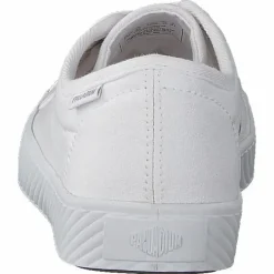 Pallaphoenix Og Cvs White