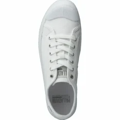 Pallaphoenix Og Cvs White
