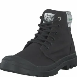 Pampa Hi Organic Black