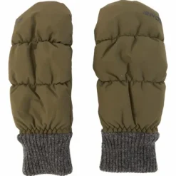 Pillow Ws Mitt Fern
