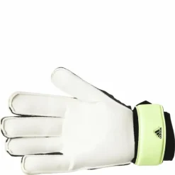 Pred Gl Trn Black/Green