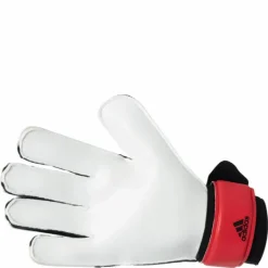 Pred Gl Trn Red / Solar Red / Black