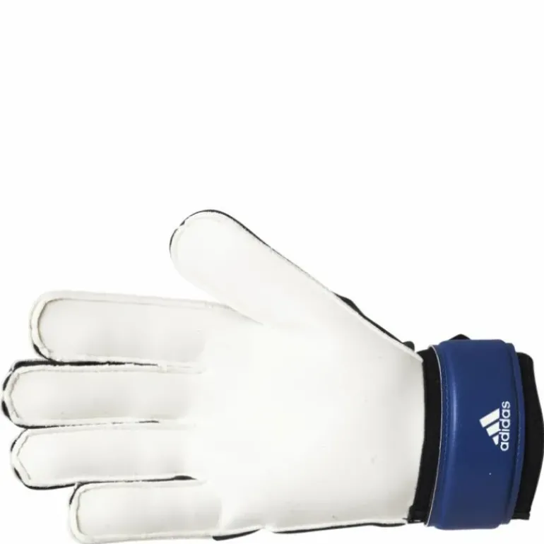 Pred Gl Trn Team Royal Blue / White / Black