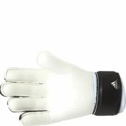 Pred Gl Trn White/Black