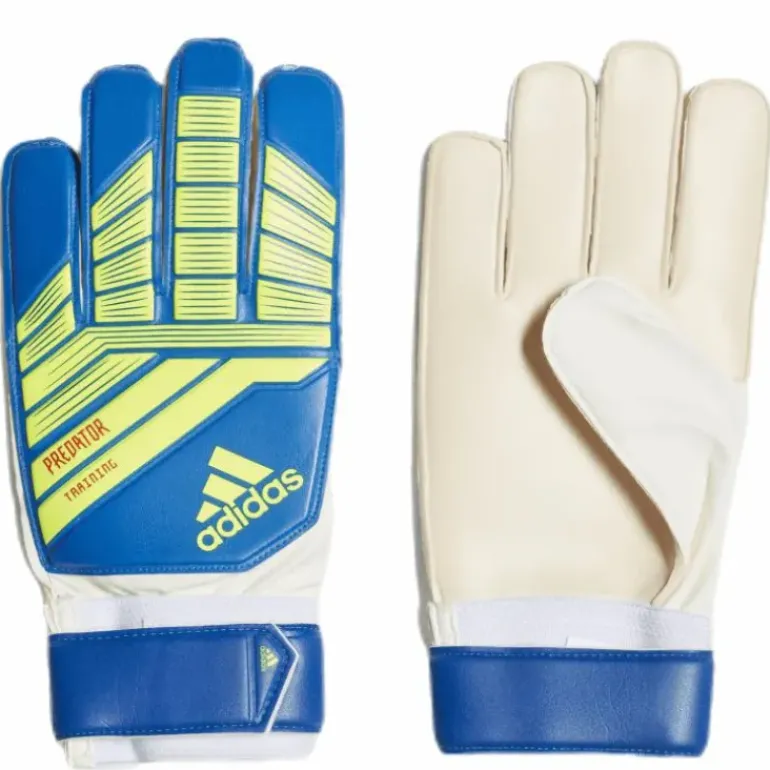 Predator Training Blue/Yellow
