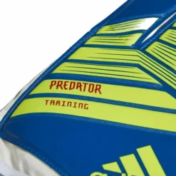 Predator Training Blue/Yellow