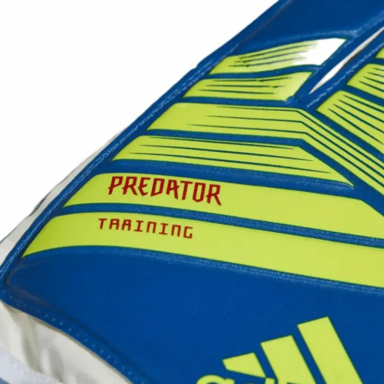 Predator Training Blue/Yellow
