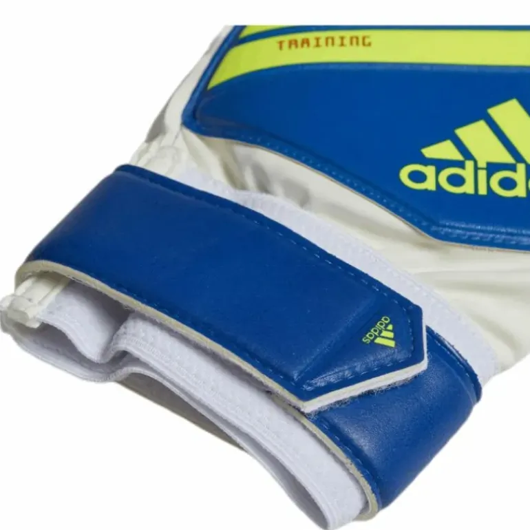 Predator Training Blue/Yellow