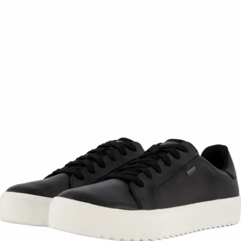 Rex Turin Gtx Black