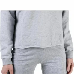 Sweat Hood, Logo Biba Grey