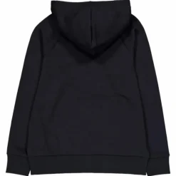 Ua Rival Fleece Big Logo Hdy Black